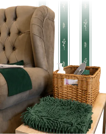 Jacintas Experiencia - Sillón Estética Móvil